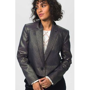 Gouden Metallic Cropped Blazer