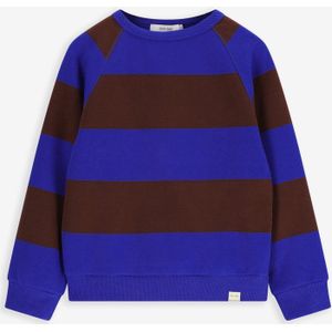 Bruin met blauw gestreepte sweater