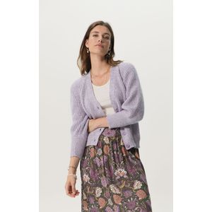 Vergrijsd Paarse Cardigan Met Driekwart Mouwen En Lurex