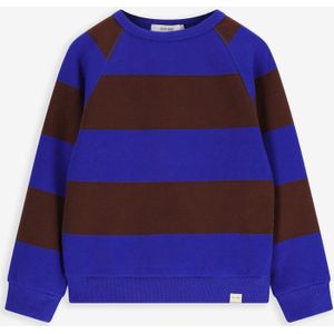 Bruin Met Blauw Gestreepte Sweater