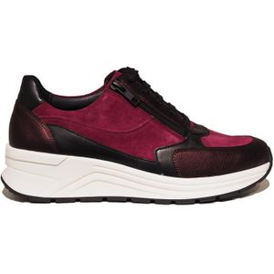 Solidus 46023 Holly 023 Sneakers