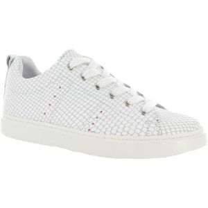 Giga Shoes 9168 Sneakers