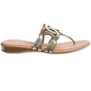 Pinaz - 650 - Teenslippers - Brons - Kunststof