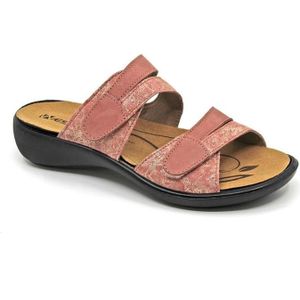 Westland by Josef Seibel 16781 480486 Ibiza 81 lachs combi Muilen