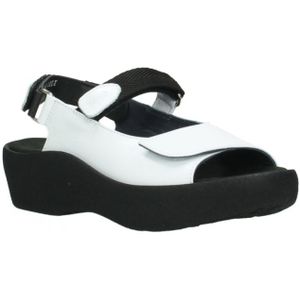 Wolky 03204 Sandalen