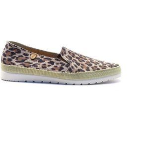 Verbenas - Leopardo Pequeno - Instappers - Leopardo