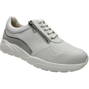 Solidus 66007 Sneakers