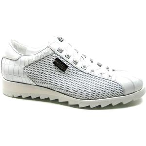 Harris 2817/P Veterschoenen
