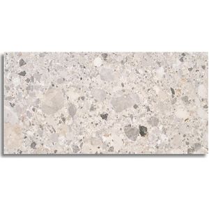 Vloertegel 60x120 Cm Terrazzo Animo Licht Grijs N58