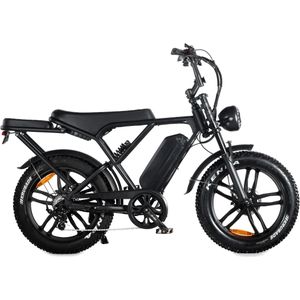 Fatbike H9 20 Inch – Lichtgewicht & Krachtige Elektrische Fatbike