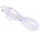 iPhone 5 / 6 Lightning naar USB-kabel 100cm