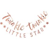 Rose Gouden Slinger Twinkle Twinkle 3m
