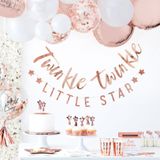 Rose Gouden Slinger Twinkle Twinkle 3m
