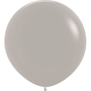 R24 - Grey - 081 - 3 Stuks
