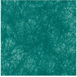 Turquoise Tafelloper 10m