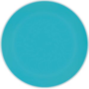 Solid Colour Turquoise Reusable Plates 25Cm 2St
