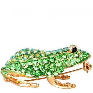 Broche Kikker 5X4.5Cm