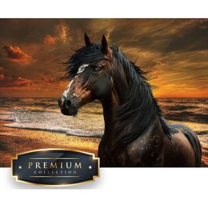 Paard met ondergaande zon Premium DP Diamond Painting, in het formaat 50x75 met vierkante steentjes en 45 kleuren. Gemaakt in NL.