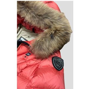 Blauer, Jassen, Heren, Rood, L, Nylon, Alicia Koraal Hooded Puffer Jas