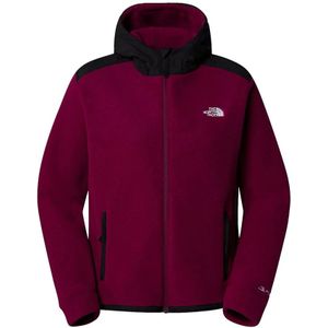 The North Face, Outdoor Avontuur Jas voor Vrouwen Paars, Dames, Maat:S