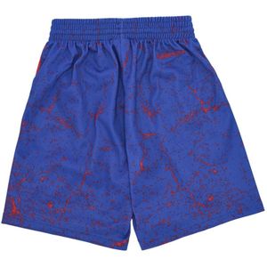 Mitchell & Ness, Sport, Heren, Veelkleurig, L, Polyester, NBA Burst Mesh Basketball Shorts