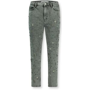 Homage, Grijze straight fit jeans met versieringen Grijs, Dames, Maat:W26