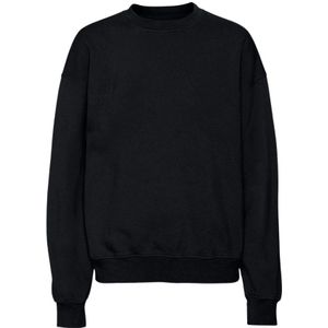 Colorful Standard, Sweatshirts & Hoodies, Heren, Zwart, 2Xl, Katoen, Round Neck Overbsize sweatshirt
