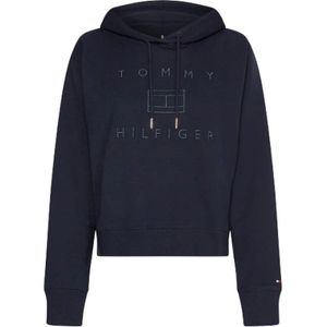 Tommy Hilfiger, Sweatshirts & Hoodies, Dames, Blauw, M, Katoen, Metallic Logo Hoodie in Desert Sky