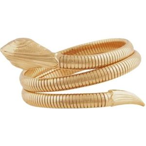 Gas Bijoux, Gouden Slangenarmband Geel, Dames, Maat:ONE Size