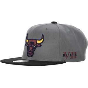 Mitchell & Ness, Accessoires, Heren, Grijs, ONE Size, Polyester, Chicago Bulls Snapback Pet Grijs/Zwart