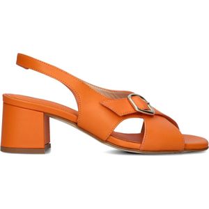 Stefano Lauran, Schoenen, Dames, Oranje, 36 EU, Elegante Zomer Sandalen