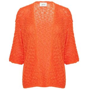 Cream, Gouden Klaprozen Gebreide Vest Oranje, Dames, Maat:2XL