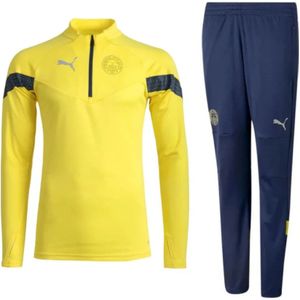 Puma, Stijlvol en Comfortabel Fenerbahçe Senior Trainingspak 2022-2023 Geel, Heren, Maat:2XL