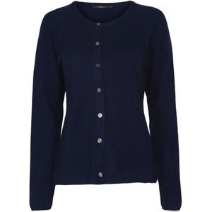 Btfcph, Truien, Dames, Blauw, L, Wol, Luxe Cashmere Cardigan Gebreid 50067