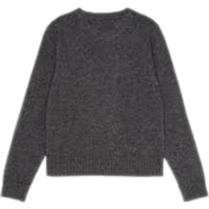 Ganni, Truien, Dames, Grijs, S, Tijger Grafische Crewneck Sweater