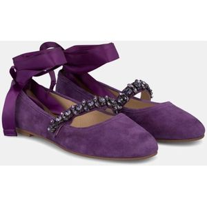 Alma EN Pena, Schoenen, Dames, Paars, 41 EU, Leer, Ballerinas met strik