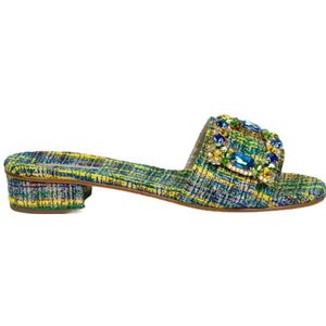 Emanuela Caruso, Schoenen, Dames, Veelkleurig, 37 EU, Multicolor Groene Raffia Zinetta Slippers