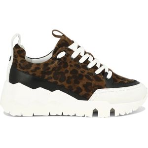 Pierre Hardy, Street Life Sneakers Bruin, Dames, Maat:40 EU