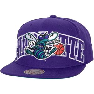 Mitchell & Ness, Accessoires, Heren, Paars, ONE Size, Paarse Hornets Snapback Pet