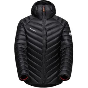 Mammut, Delta Hoodie Zwart, Heren, Maat:M