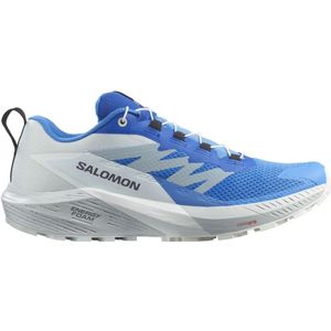 Salomon, Sport, Heren, Veelkleurig, 43 EU, Ride 5 Hardloopschoenen in Blauw