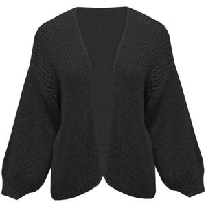 ivy, Zwart Oversized Mohair Vest Zwart, Dames, Maat:ONE Size