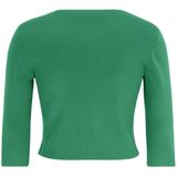 vera mont, Truien, Dames, Groen, M, Glitter Gebreide Bolero