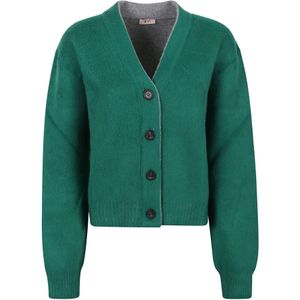 N21, Bicolor Groene Cardigan Groen, Dames, Maat:M