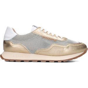 Hispanitas, Schoenen, Dames, Veelkleurig, 35 EU, Leer, Gouden en beige sneakers met kleurrijke zool