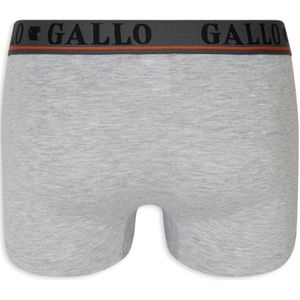 Gallo, Ondergoed, Heren, Grijs, M, Katoen, Grijze Katoenen Boxershorts