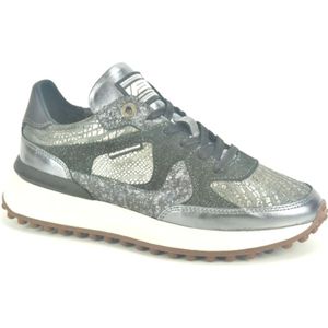 Floris van Bommel, Sport, Dames, Grijs, 37 EU, Zilver Grijs Runner Schoenen