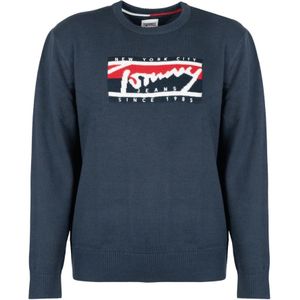 Tommy Hilfiger, Sweatshirts & Hoodies, Heren, Blauw, XL, Polyester, Tommy Jeans Trui