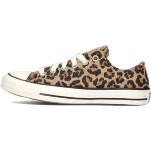 Converse, Schoenen, Dames, Zwart, 37 1/2 EU, Luipaardprint Lage Top Sneakers