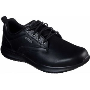 Skechers, Schoenen, Heren, Zwart, 40 EU, Delson- Antigo Kant Schoenen